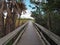 Mahogany Hammock Boardwalk in Everglades National Park.