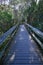 Mahogany Hammock boardwalk in Everglades National Park, Florida.