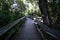 Mahogany Hammock boardwalk in Everglades National Park, Florida