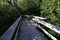 Mahogany Hammock boardwalk in Everglades National Park, Florida.