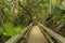 Mahogany Hammock Trail, Everglades National Park