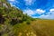 Mahogany Hammock Trail of the Everglades National Park. Boardwalks in the swamp. Florida, USA