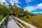 Mahogany Hammock Trail of the Everglades National Park. Boardwalks in the swamp. Florida, USA