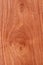 Mahogany, rosewood texture