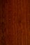 Mahogany texture. Radial saw cut mahogany, sapelli. Close-up