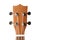 Mahohany ukulele headstock isolated on white background