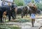 A mahout carries some logs towards his elephant within the Temple of the Sacred Tooth Relic complex in Kandy, Sri Lanka.