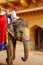 Mahout riding decorated elephant inside Jaleb Chowk main courty