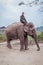 Mahout riding an elephant, Chitwan national park