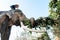 Mahout riding his elephant at The elephant Village