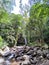 Mahua Waterfall Tambunan, Sabah. Malaysia, Borneo.