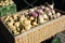 Mai beet , Turnip, Navette, beet harvested in autumn, piled up in handcart