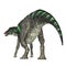 Maiasaura Dinosaur Tail