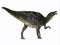 Maiasaurus Dinosaur Tail