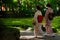 Maiko girls and Japanese garden, Kyoto Japan