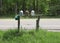 Mail Boxes, Road, Country, Green Grass, Outside