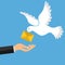 The mail pigeon brings a letter. Golub brought the letter into the man`s hand. The concept of receiving mail.