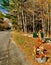 Mailbox decorated for fall on country road