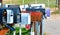 Mailboxes on a Country Road