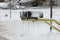 Mailboxes Frozen in winter snow storm