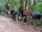 Mailboxes on rural road