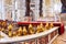 Main altar in the basilica of St. Peter\'s in Rome, Italy