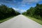 Main park road in Everglades National Park stretching into far distance.