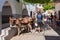 Main parking for donkeys in Lindos. Using donkey taxi to the Acropolis is a popular tourist