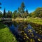 The main pond of The National Botanic Gardens in Dublin