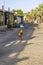 Main promenade with shops and restaurants, everyday life, Dahab, Egypt