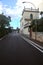 Main road bordered by olive tree plantations