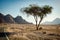 Main road with solo tree in Sinai desert between mountains