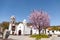 Main square of the city Santiago del Teide and almond tree