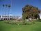 Main square in front of town hall and cypress tree with stoutest trunk in Santa Maria del Tule city in Mexico