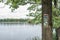 The main subject is out of focus, tourist sign in forest summer europe czech republic tree orientation marks