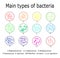 The main types of bacteria