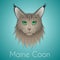 Maine coon