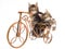 Maine Coon kittens sitting bicycle