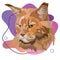 Maine Coon vector illustration on a colored background, portrait. Orange color, head.