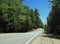 Maine country road in summer