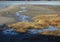 Maine island in winter, at low tide marsh grass yellowed