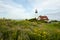 Maine Lighthouse Amid Wildflowers in Summer
