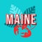 Maine vintage 3d vector lettering. Retro bold font, typeface. Pop art stylized text. Old school style letters. 90s, 80s