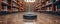 Maintaining Tidy Shelves in a Busy Atmosphere A Robotic Vacuum\\\'s Efficient Navigation in a Spacious Library. Concept Shelf