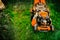 Maintenance details - close up view of grass mower, lawnmower details