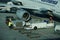 Maintenance of passenger aircraft before departure at the airport after a long downtime. The resumption of passenger traffic. Pre-