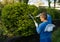 A maintenance worker cuts a hedge image,maintaining the greenery