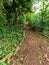 Maire Nui Gardens, Rarotonga