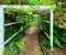 Maire Nui Gardens, Rarotonga