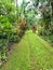 Maire Nui Gardens, Rarotonga